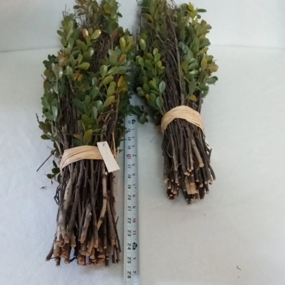 2 Preserved Boxwood Topiary Plant Bundles Rustic Farmhouse Decor 20